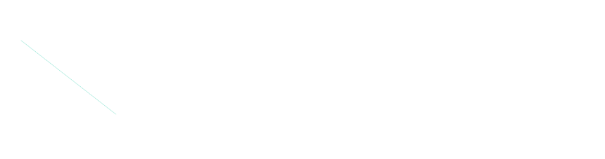 Nesphi Digital Asia Logo